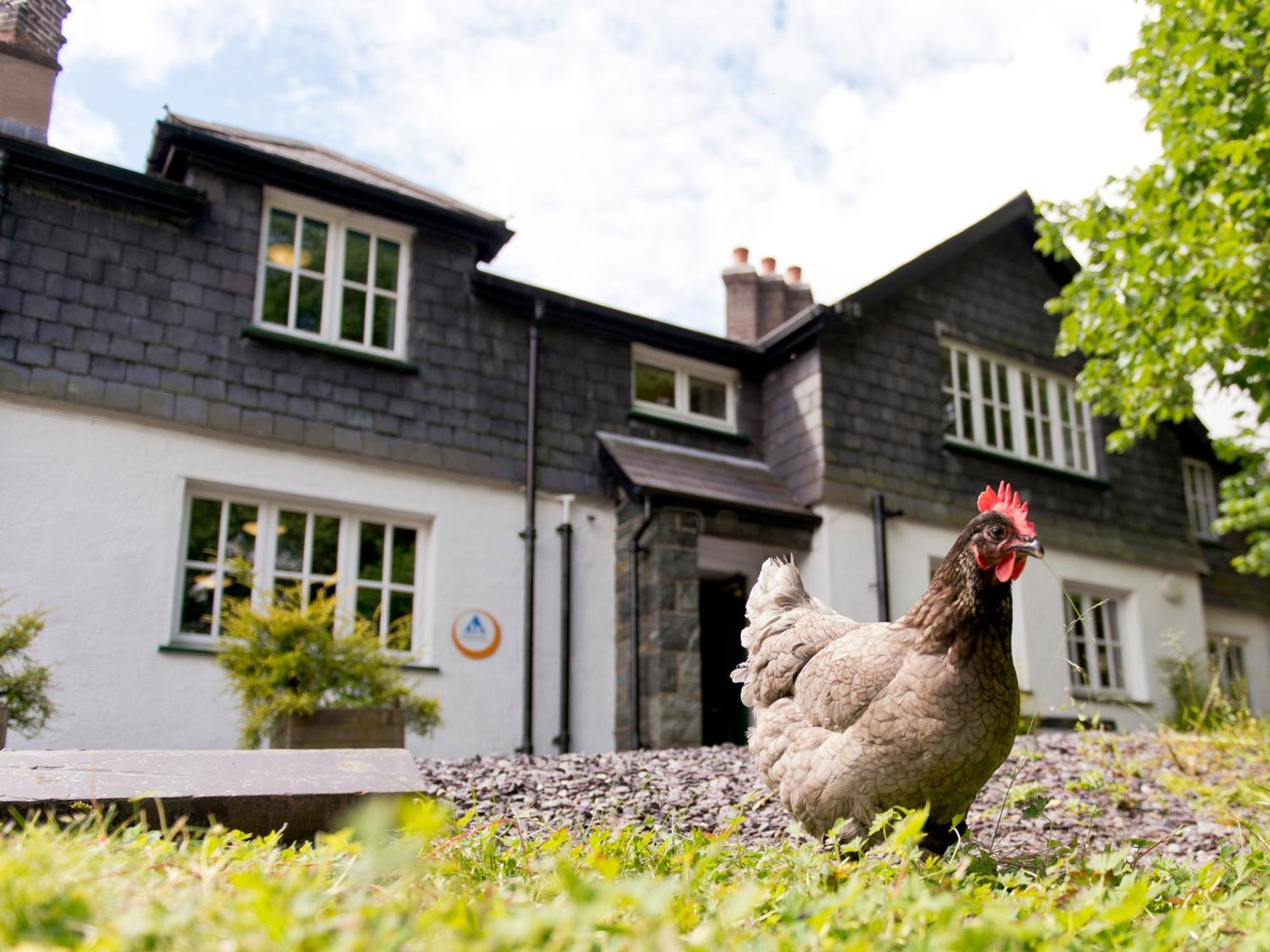Yha Idwal Cottage Bethesda Exterior photo