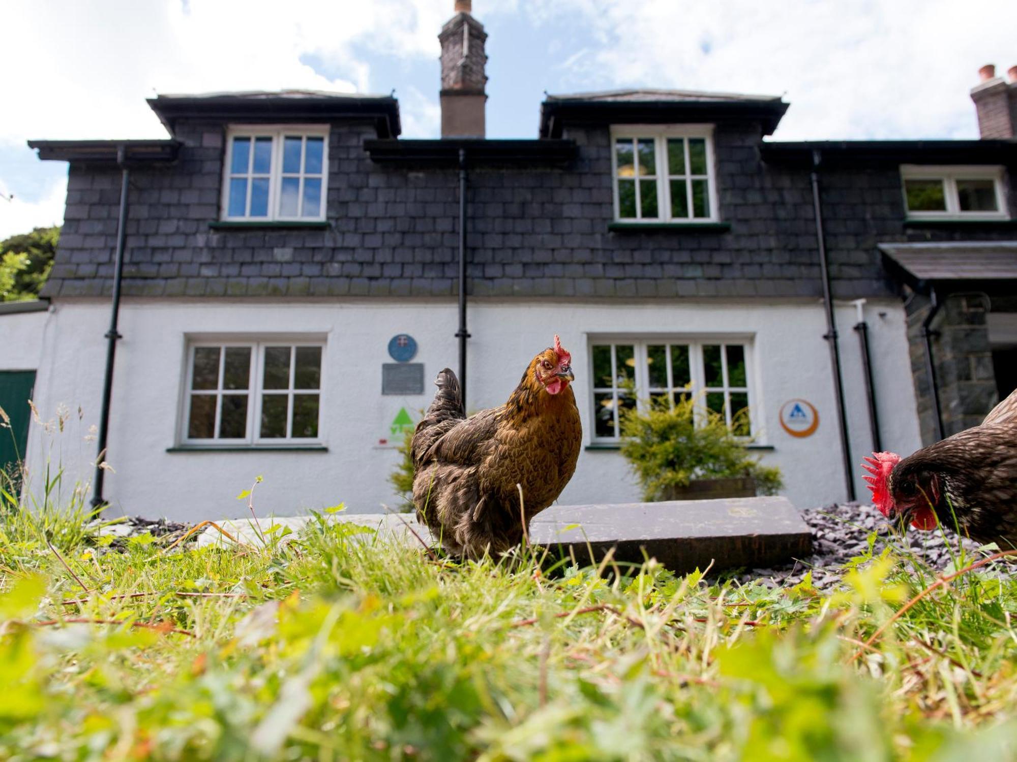Yha Idwal Cottage Bethesda Exterior photo